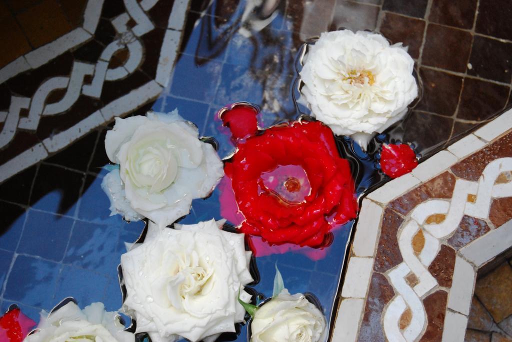 Riad Viva Марракеш Экстерьер фото Roses at the fountain